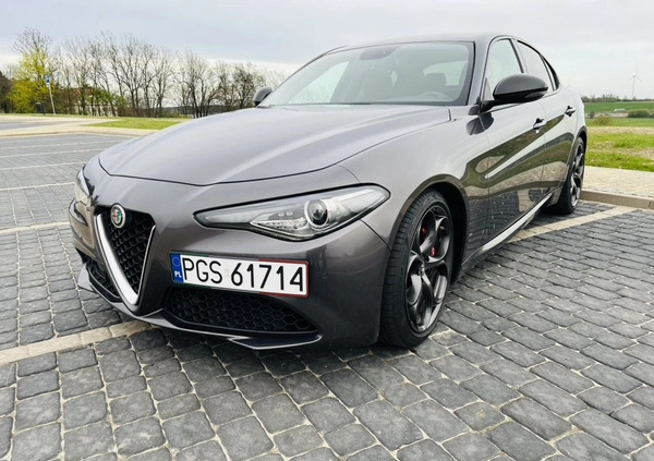 Alfa Romeo Giulia cena 92900 przebieg: 80400, rok produkcji 2019 z Piaski małe 529